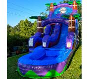 Water Slides - Dunk Tank